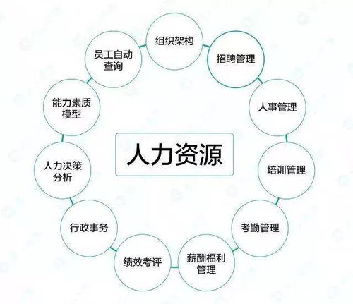 激活员工潜能 金融业务流程外包人力资源制度的优化之道