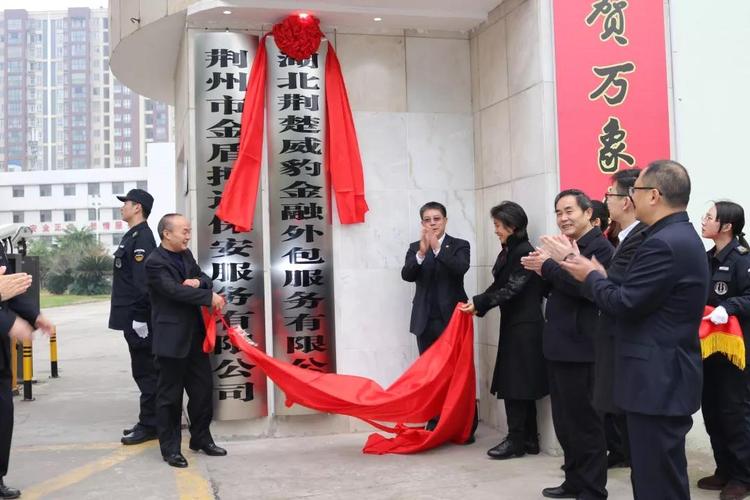 湖北荆楚威豹金融外包服务 专业金融业务流程外包的核心优势解析